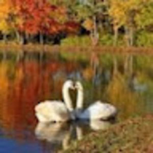 Meet your Posher, Summer